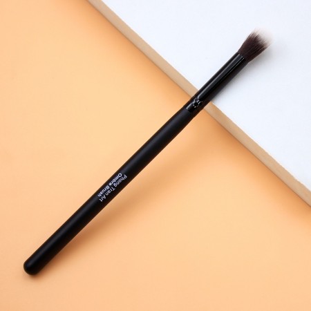 Ombre Dip Brush ( Cọ rắc...